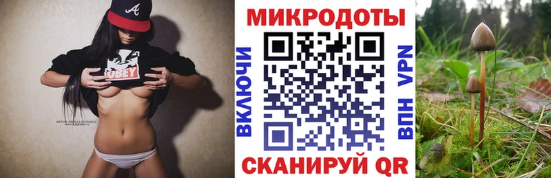 Галлюциногенные грибы Cubensis  наркошоп  Подольск 