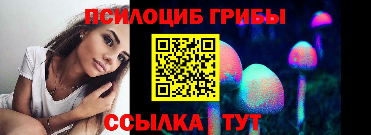 Галлюциногенные грибы Cubensis Подольск